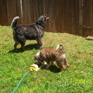 Meet your Posher, Robert